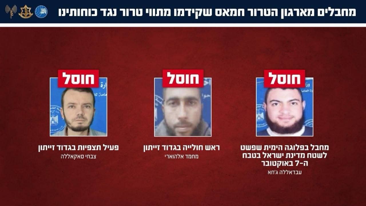 מדיה