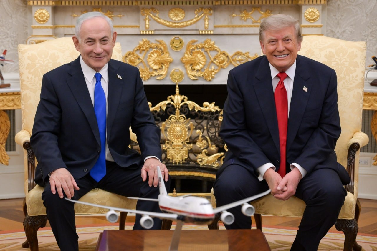מדיה