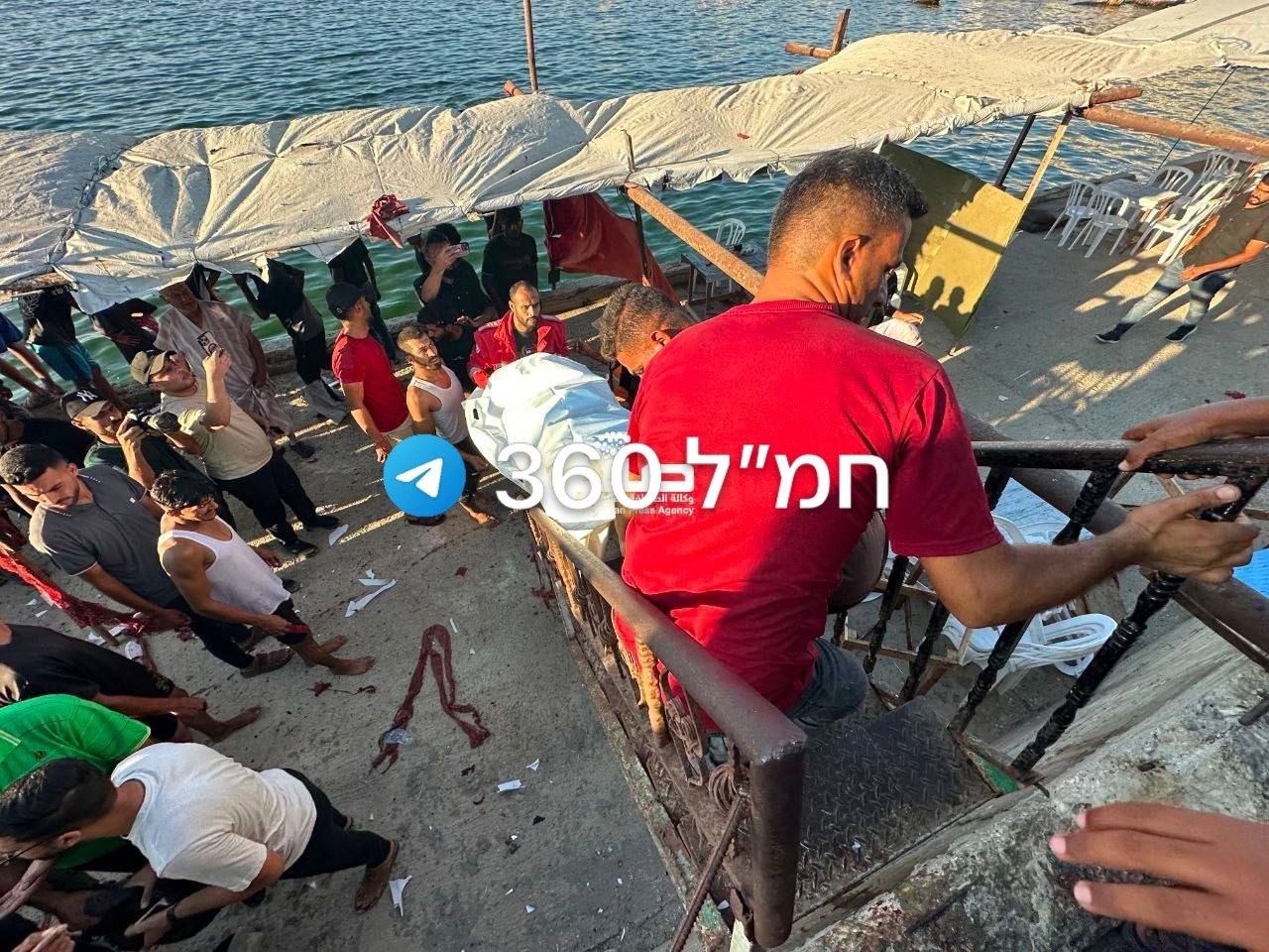 מדיה