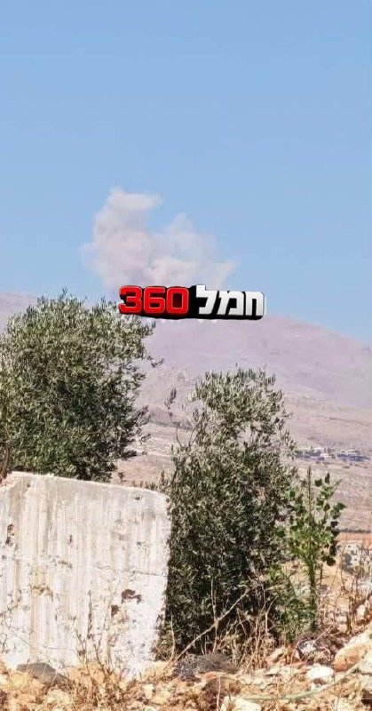 מדיה
