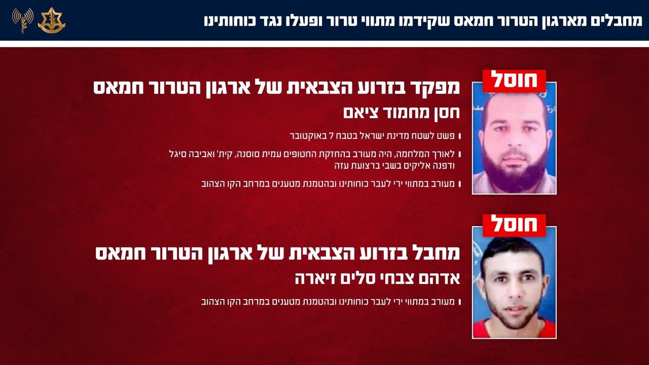 מדיה
